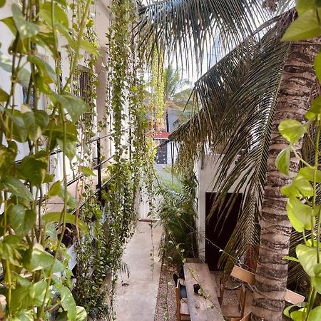 Hotel Anana Coliving Playa del Carmen Zewnętrze zdjęcie