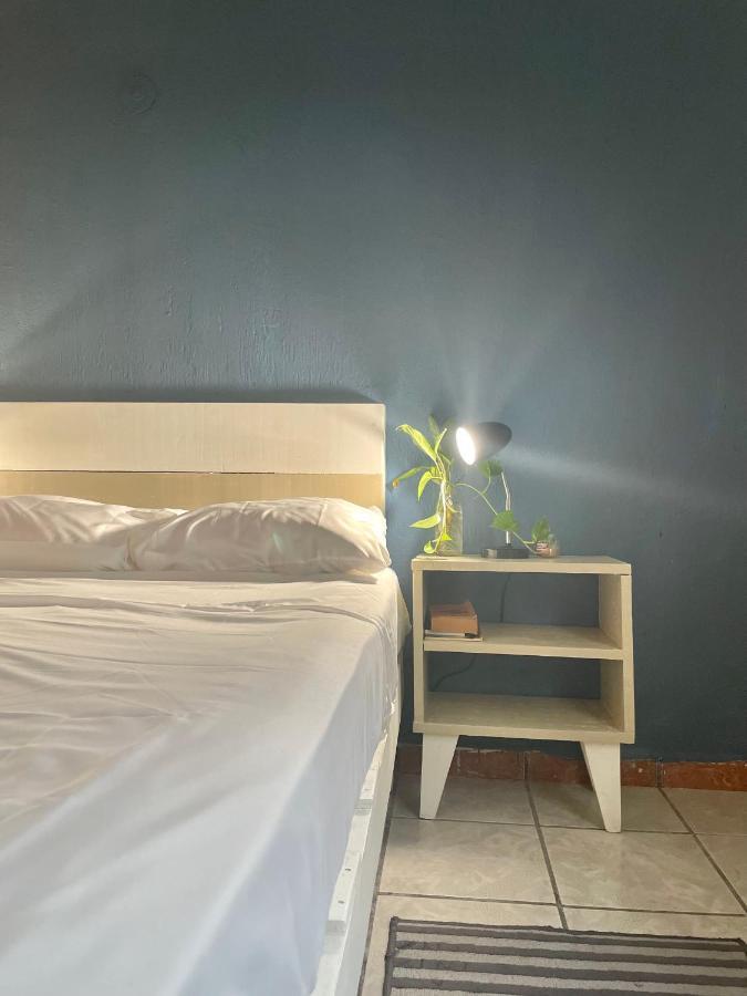 Hotel Anana Coliving Playa del Carmen Zewnętrze zdjęcie