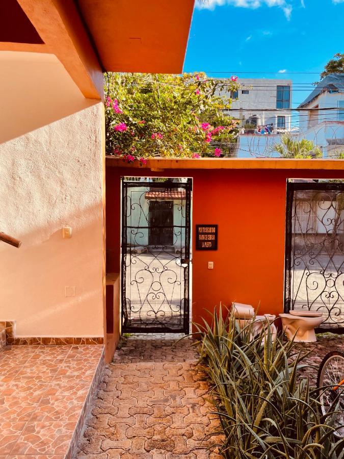Hotel Anana Coliving Playa del Carmen Zewnętrze zdjęcie