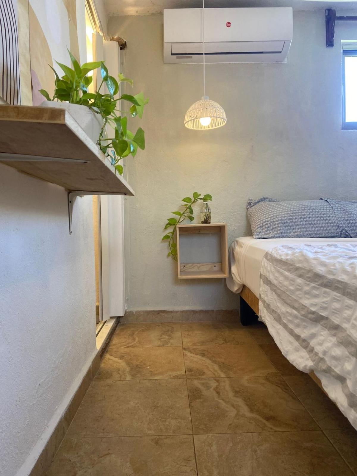 Hotel Anana Coliving Playa del Carmen Zewnętrze zdjęcie