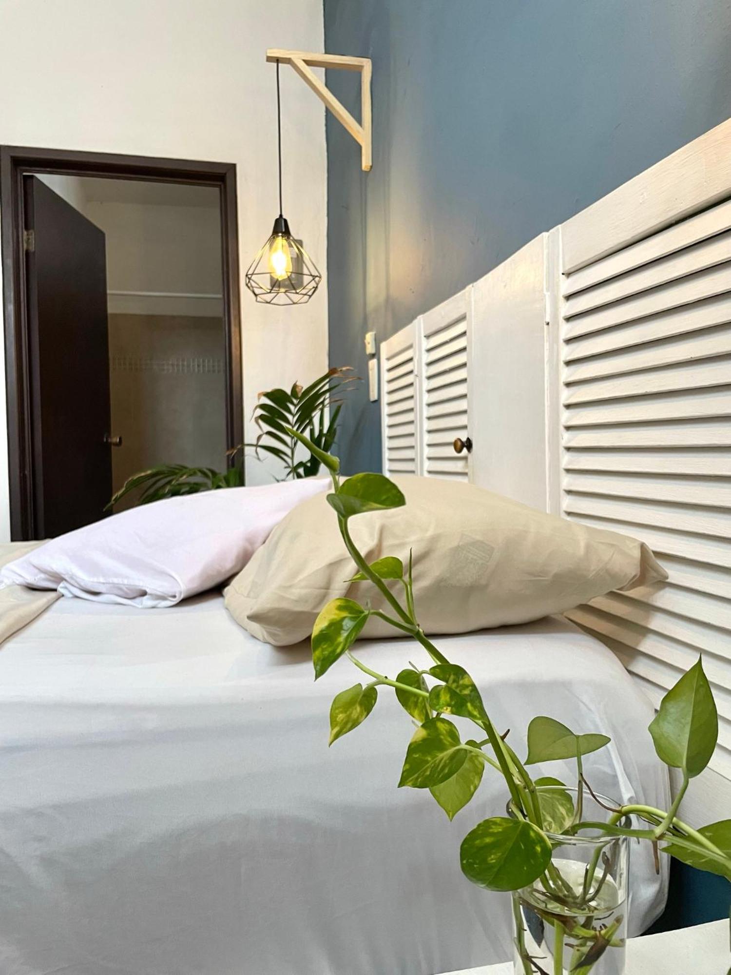 Hotel Anana Coliving Playa del Carmen Zewnętrze zdjęcie